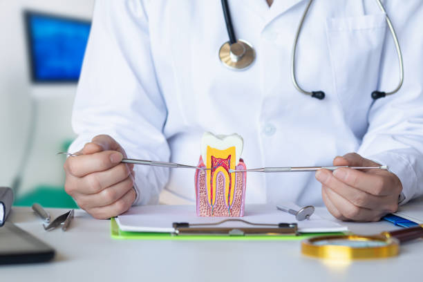 Best Knocked-Out Tooth (Avulsed Tooth) Treatment in Burnham, PA